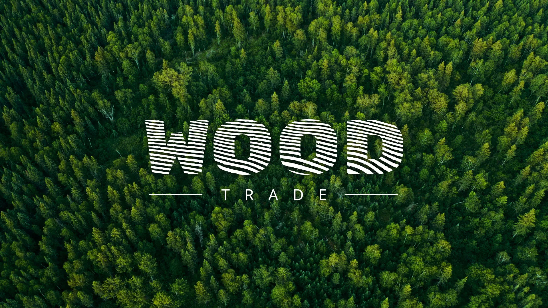 Разработка интернет-магазина компании «Wood Trade» в Краснознаменске