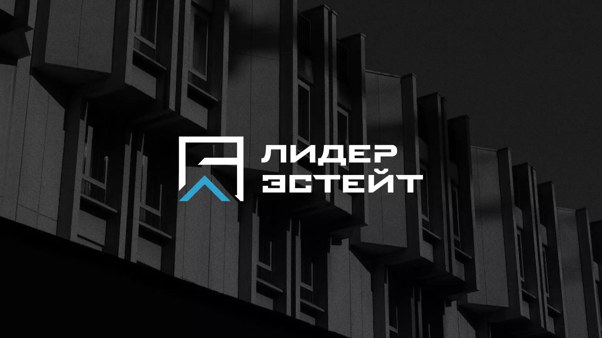 Разработка логотипа агентства недвижимости «Лидер Эстейт» в Краснознаменске