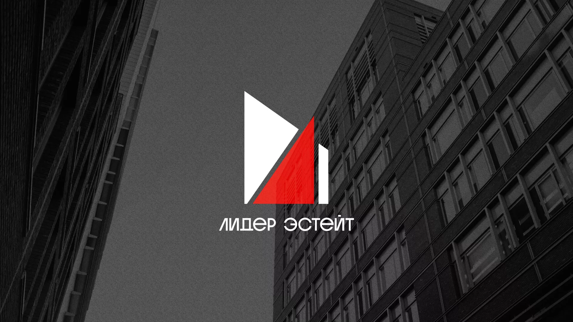Сделали логотип для агентства недвижимости «Лидер Эстейт» в Краснознаменске